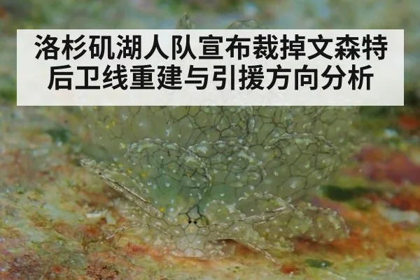 洛杉矶湖人队宣布裁掉文森特后卫线重建与引援方向分析