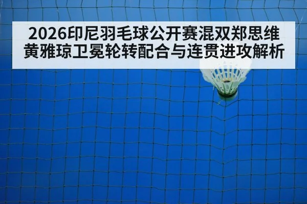 badminton net play