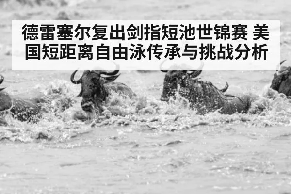 德雷塞尔复出剑指短池世锦赛 美国短距离自由泳传承与挑战分析